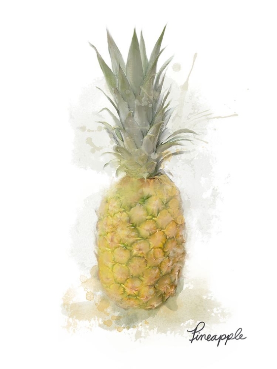 Picture of PINEAPPLE