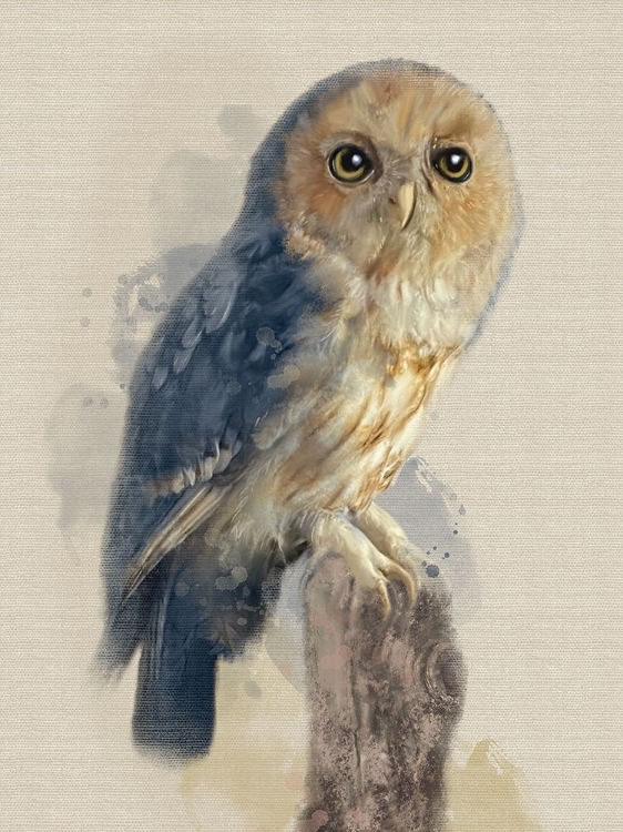 Picture of BIRD OWL BLUE HUES