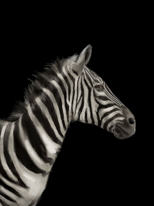 Picture of ZEBRA BLACK