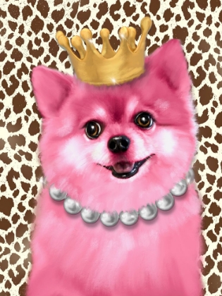 Picture of PINK POMERANIAN