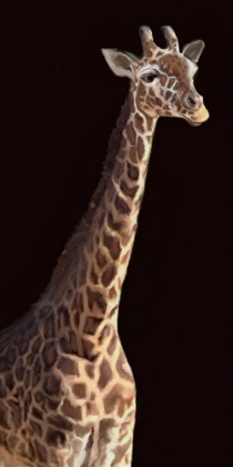 Picture of AFRICAN ANIMAL GIRAFFE BLACK