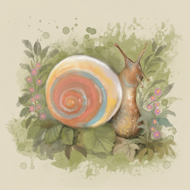 Picture of SNAIL SOLO