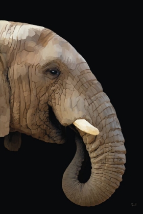 Picture of AFRICAN ELEPHANT