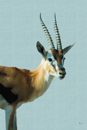 Picture of GRACEFUL GAZELLE