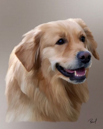 Picture of GOLDEN RETRIEVER LASSIE