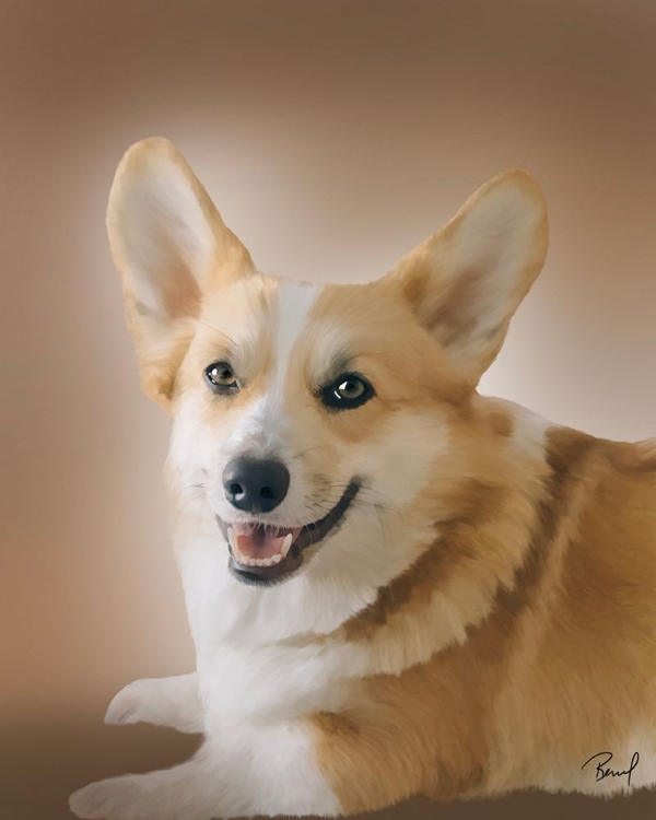 Picture of PEMBROKE WELSH CORGI LUCAS