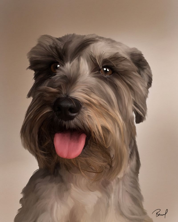 Picture of MINIATURE SCHNAUZER MARLEY