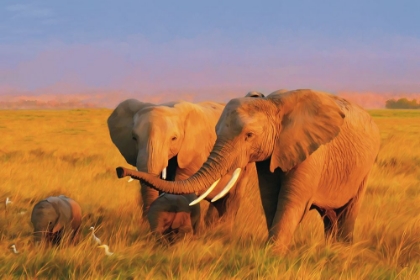 Picture of ELEPHANT FAMILY