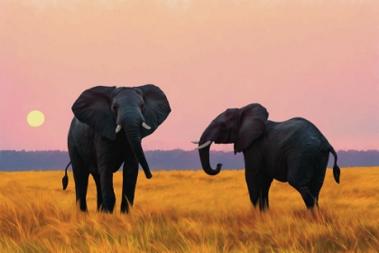 Picture of ELEPHANT PAIR AT SUNSET