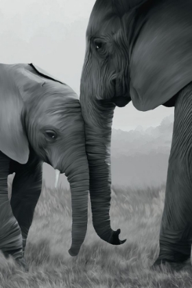 Picture of ELEPHANTS ENJOYING CLOSENESS