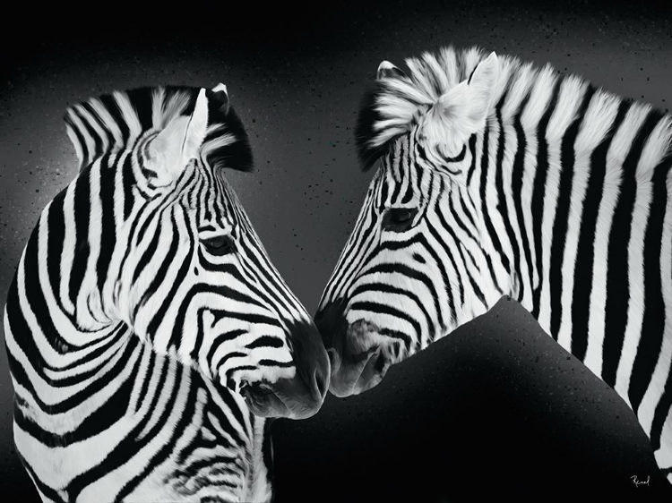 Picture of PAIR OF ZEBRAS