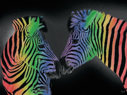 Picture of PAIR OF ZEBRAS IN RAINBOW