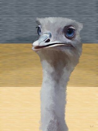 Picture of OSTRICH