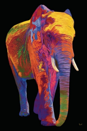 Picture of ELEPHANT IN FULL COLOR ON BLACK