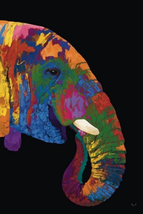 Picture of AFRICAN ELEPHANT IN FULL COLOR ON BLACK