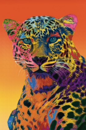 Picture of WILD SPOTS IN FULL COLOR