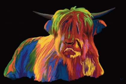 Picture of HIGHLAND COW IN FULL COLOR ON BLACK