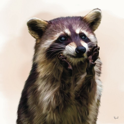 Picture of ENDEARING RACCOON 2