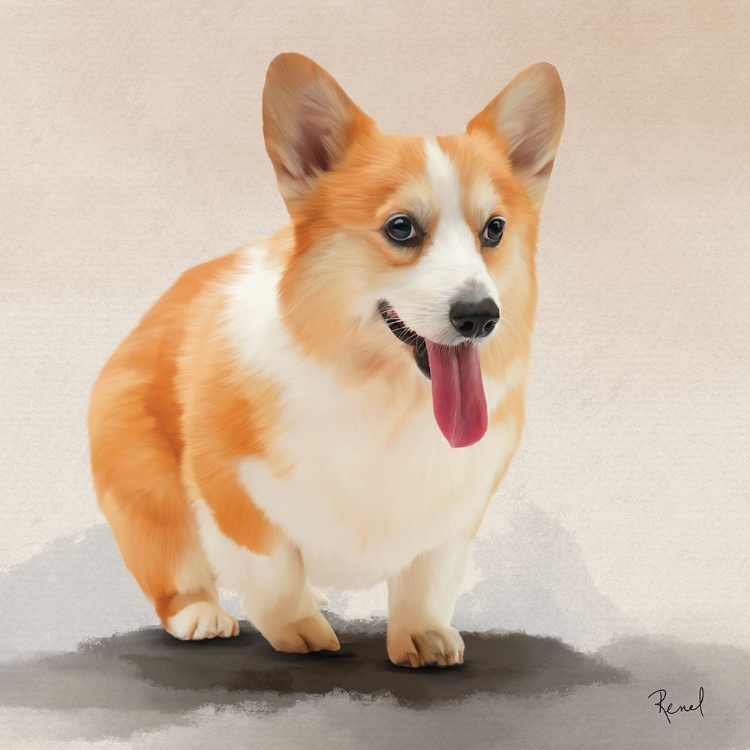 Picture of CORGI