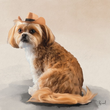 Picture of SHIH TZU