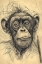 Picture of DRAWN MONKEY