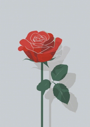 Picture of ROSE IN RASTER