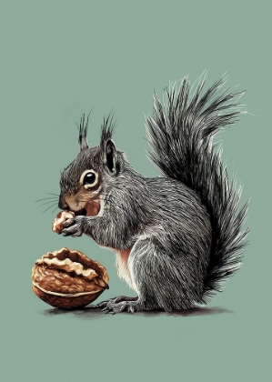 Picture of THE SQUIRREL AND THE WALNUT