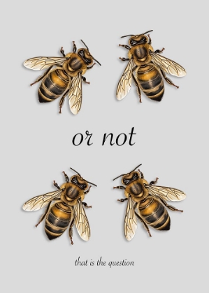 Picture of TWO BEE OR NOT TWO BEE