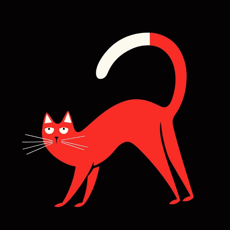 Picture of RED CAT