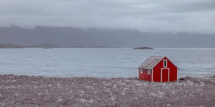 Picture of BEACH HUT ON LOFOTEN COASTLINE - NORWAY