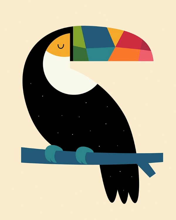 Picture of RAINBOW TOUCAN