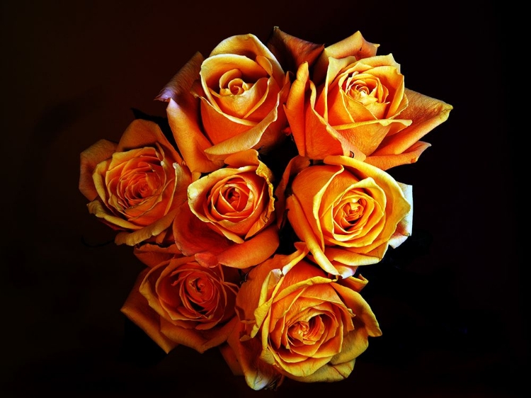 Picture of BOUQUET OF YELLOW ROSES