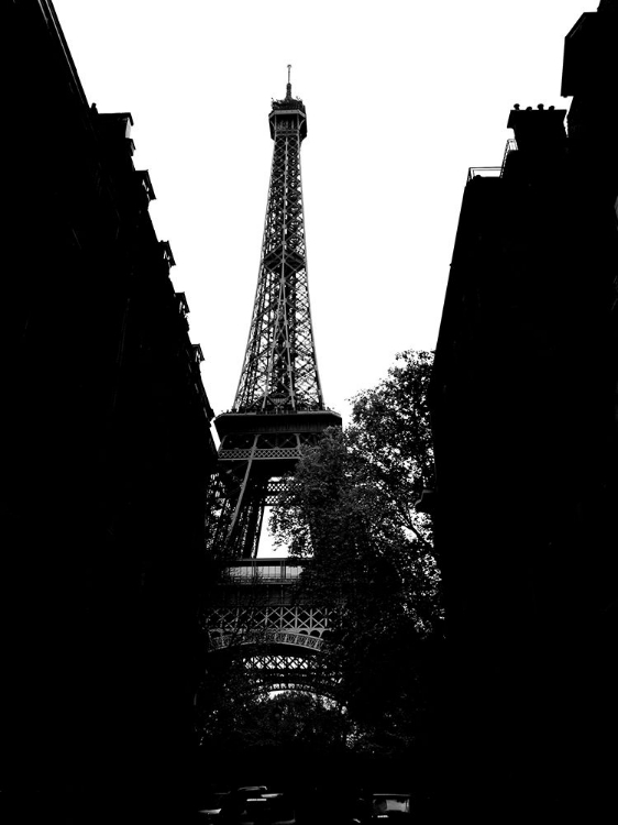 Picture of EIFFEL TOWER FROM RUE DE BUENOS AIRES