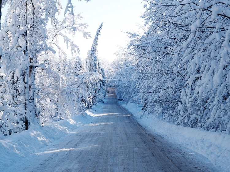 Picture of CHELSEA ROAD IN WINTER 1