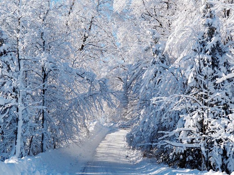 Picture of CHELSEA ROAD IN WINTER 2