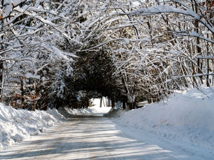 Picture of CHELSEA ROAD IN WINTER