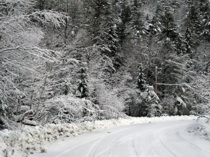 Picture of GATINEAU IN SNOW 2