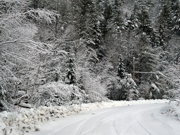 Picture of GATINEAU IN SNOW 2