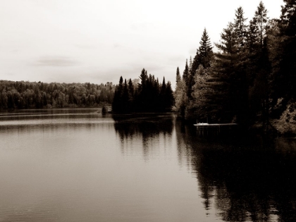 Picture of LAKE SCENE SEPIA