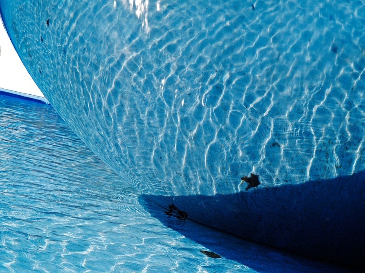 Picture of SPHERE AND REFLECTED WATER