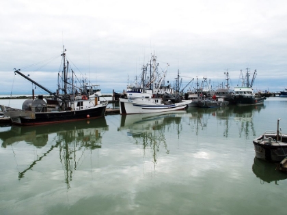 Picture of STEVESTON HARBOUR BC