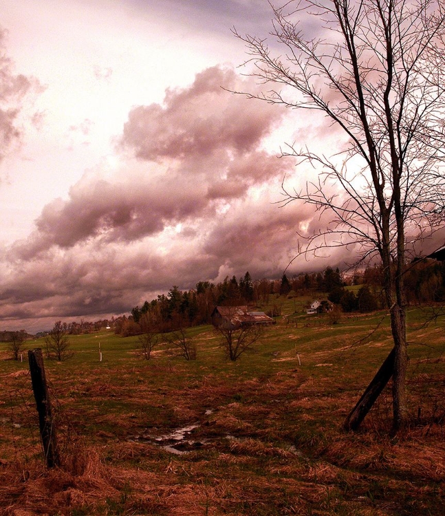 Picture of COUNTRYSIDE GATEWAY