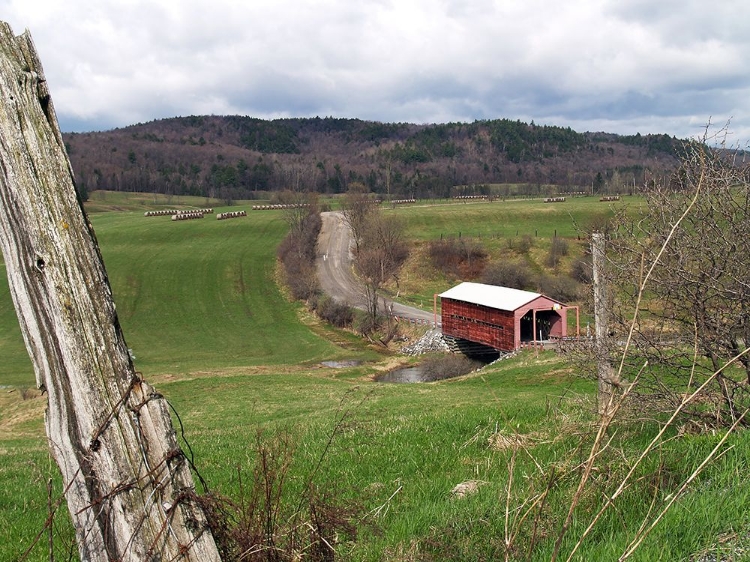 Picture of LONG BRIDGE AND COUNTRYSIDE 3