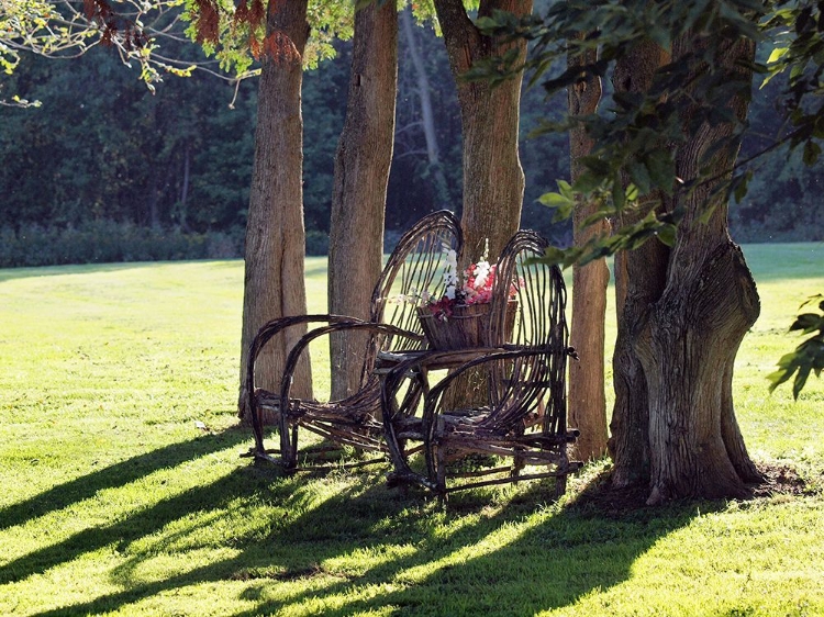 Picture of OLD CHAIRS IN GARDEN HOMEWOOD MUSEUM 3