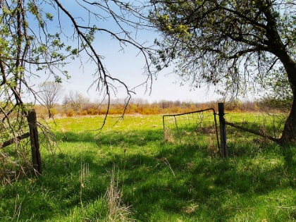 Picture of OTTAWA PASTURE