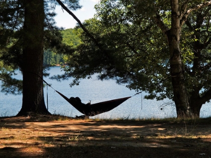 Picture of RELAXING IN THE COUNTRYSIDE