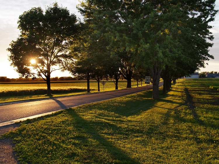 Picture of SUNSET AT AGRICULTURE CANADA