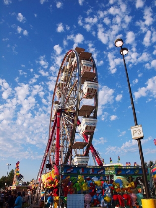 Picture of FERRIS WHEEL SUPER EX