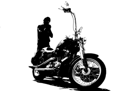 Picture of HARLEY-DAVIDSON AND RIDER