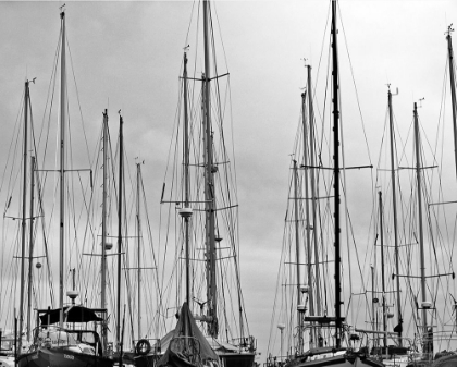 Picture of MARINA SAILBOAT MASTS